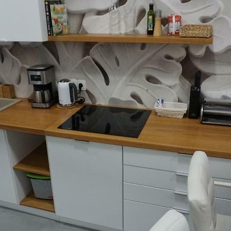 Apartament Starowislna 克拉科夫 外观 照片