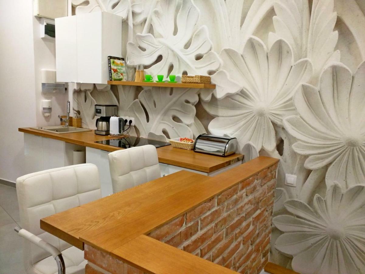 Apartament Starowislna 克拉科夫 外观 照片