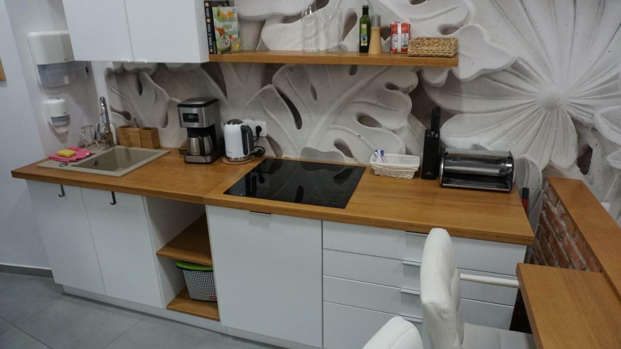 Apartament Starowislna 克拉科夫 外观 照片